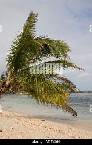 Strand von Nosy Nato, Madagascar, Afrika, spiaggia, Nosy Nato, Madagascar, Africa Foto Stock