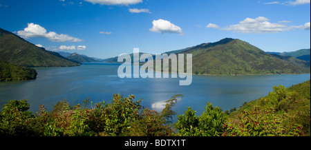 Pelorus Suono, vista in Pelorus audio con le sue numerose baie e forestali-colline rivestite, Marlborough Sounds, Isola del Sud, Nuova Zelanda Foto Stock