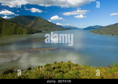 Pelorus Suono, vista in Pelorus audio con le sue numerose baie e forestali-colline rivestite, Marlborough Sounds, Isola del Sud, Nuova Zelanda Foto Stock