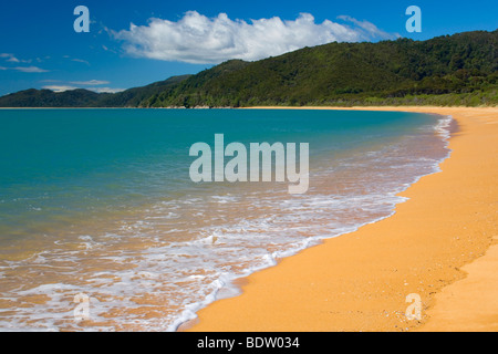 Spiaggia dorata di Totaranui e il blu oceano, Tasman District, Isola del Sud, Nuova Zelanda Foto Stock