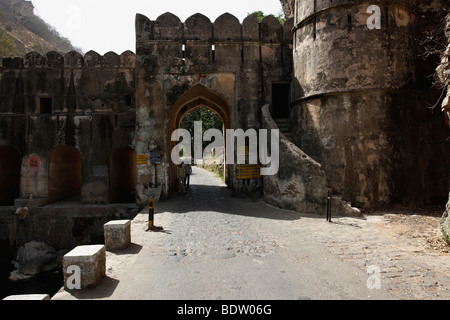 Impressionen aus dem ranthambore nationalpark in indien, impressioni del parco di cittadino di Ranthambore in India Foto Stock