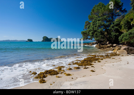 Stingray Bay, romantica e isolata baia lungo il percorso al Cove della cattedrale, Penisola di Coromandel, Isola del nord, Nuova Zelanda Foto Stock