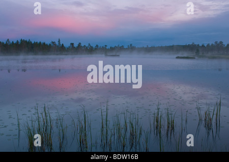 Abendstimmung bei seenlandschaft bei sonnenuntergang, lappland, SCHWEDEN, atmosfera serale con paesaggio lacustre al tramonto, Svezia Foto Stock