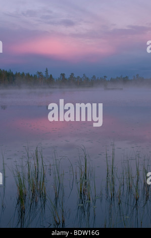 Abendstimmung bei seenlandschaft bei sonnenuntergang, lappland, SCHWEDEN, atmosfera serale con paesaggio lacustre al tramonto, Svezia Foto Stock