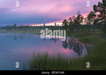 Abendstimmung bei seenlandschaft bei sonnenuntergang, lappland, SCHWEDEN, atmosfera serale con paesaggio lacustre al tramonto, Svezia Foto Stock