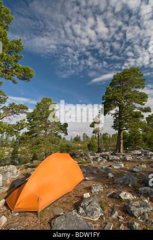 Outdoor camping im naturreservat rogen, haerjedalen, SCHWEDEN, riserva naturale, Svezia Foto Stock