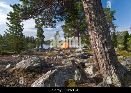 Outdoor camping im naturreservat rogen, haerjedalen, SCHWEDEN, riserva naturale, Svezia Foto Stock