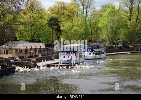 Le imbarcazioni turistiche ormeggiato sul fiume Tamigi vicino a Eton Bridge a Windsor Foto Stock