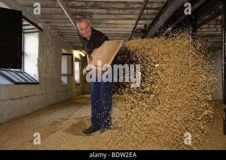 Lavoratore in distilleria di whisky, Orkney Islands, SCOZIA Foto Stock