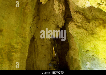 Arco di roccia in Waitomo, Nuova Zelanda Foto Stock