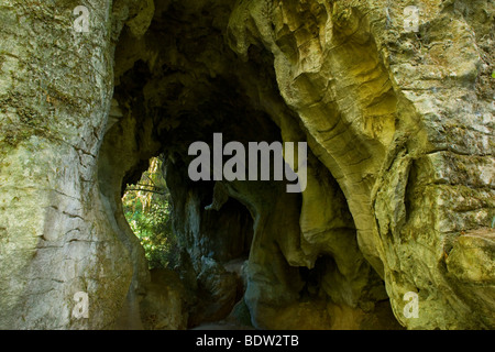 Arco di roccia in Waitomo, Nuova Zelanda Foto Stock