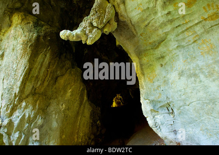 Arco di roccia in Waitomo, Nuova Zelanda Foto Stock