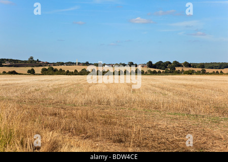 Vista su Romney marsh e raccolte di campi di grano, verso il villaggio di Bilsington, Kent, Regno Unito Foto Stock