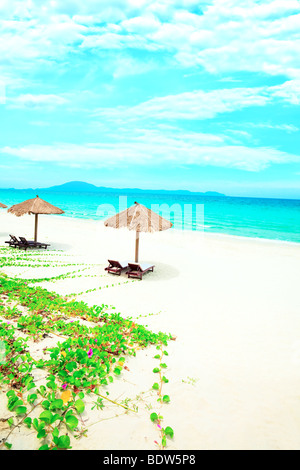 Sabbiosa spiaggia tropicale con sedie a sdraio nella giornata di sole Foto Stock