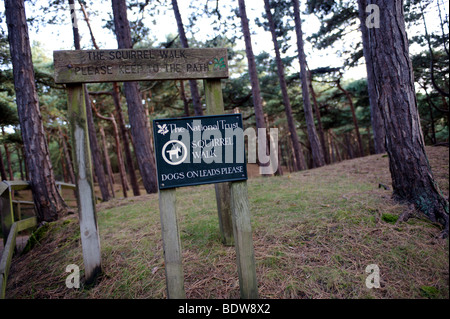 Il National Trust cartello che diceva "quirrel piedi' e 'Dogs sui conduttori si prega di' a Freshfields, Formby, Merseyside England, Regno Unito Foto Stock