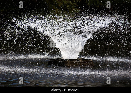 Fontana di acqua nel lago di Springfield park North London REGNO UNITO Foto Stock