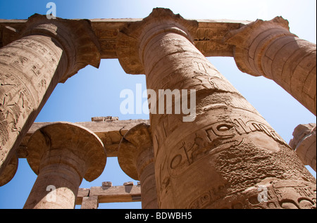 Enormi colonne tratto Skywards nell'Hypostyle Hall presso il Tempio di Karnak a Luxor, Egitto. Foto Stock