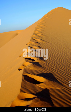 Soffiata su piedi stampe sul crinale di sabbia di una duna del deserto, Ubari Mare di Sabbia, il deserto del Sahara, Libia, Africa Foto Stock