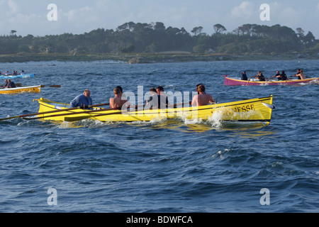 Gig boat racing sulle isole Scilly Foto Stock