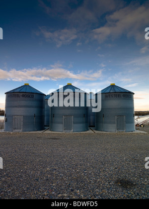 Il silo sul prezzo agriturismo, Negozi Chicco cresciuto lungo il Fiume Snake, vicino Adrian Oregon. Foto Stock