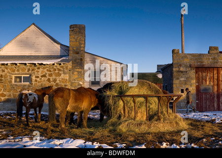 Caldo sole riflette da un vecchio ranch stone house la fusione della restante neve nel corral. Foto Stock