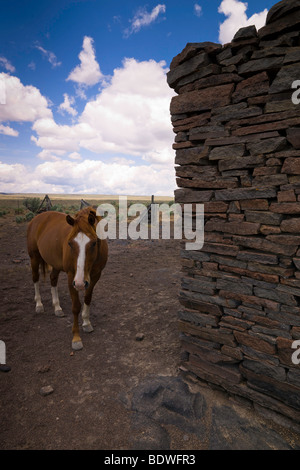 Un vecchio ranch di pietra casa sorge come un western icona alla dura vita del West americano. Foto Stock