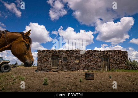 Un vecchio ranch di pietra casa sorge come un western icona alla dura vita del West americano. Foto Stock