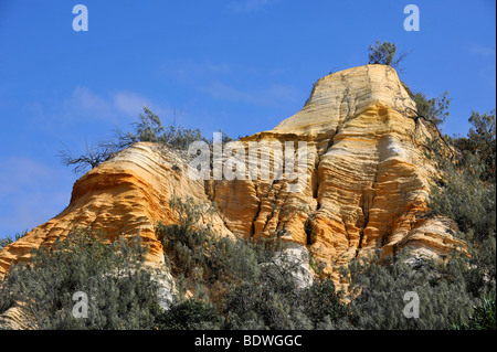 La formazione di sabbia, i pinnacoli, patrimonio Unesco, l'Isola di Fraser, Great Sandy National Park, Queensland, Austra Foto Stock