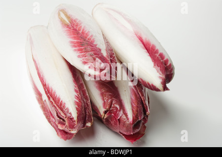 Mazzetto di chickory (witlof) su uno sfondo bianco per uso di esclusione Foto Stock