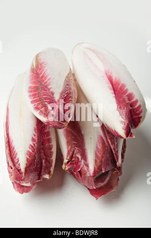 Mazzetto di chickory (witlof) su uno sfondo bianco per uso di esclusione Foto Stock