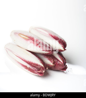 Mazzetto di chickory (witlof) su uno sfondo bianco per uso di esclusione Foto Stock