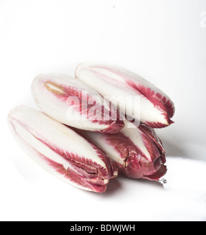 Mazzetto di chickory (witlof) su uno sfondo bianco per uso di esclusione Foto Stock