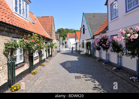 Vecchie case nel villaggio di pescatori di lecci, Schleswig, Schleswig-Holstein, Germania settentrionale, Germania, Europa Foto Stock