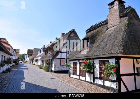 Case in paglia in Maasholm, Schleswig-Holstein, Germania settentrionale, Germania, Europa Foto Stock