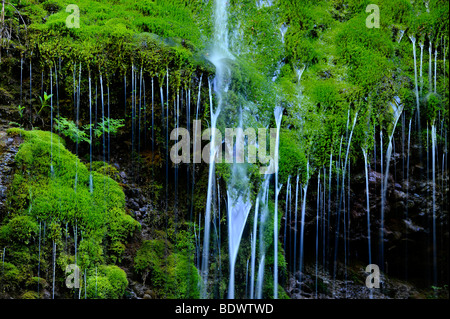 Una piccola cascata su rocce di muschio, Gunzesried, Immenstadt, Superiore Allgaeu, Baviera, Germania, Europa Foto Stock