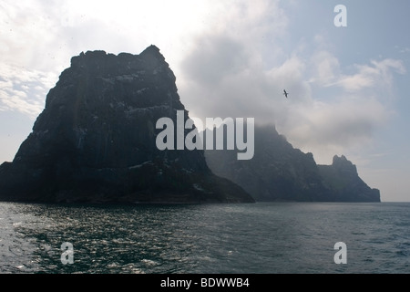 Isole di Stac un Armin e Boreray in Saint Kilda arcipelago, Scozia. Foto Stock
