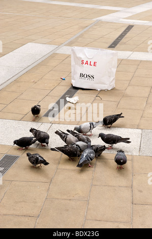 Londra piccioni selvatici alimentazione su rifiuti sinistra in Paternoster square Londra Foto Stock