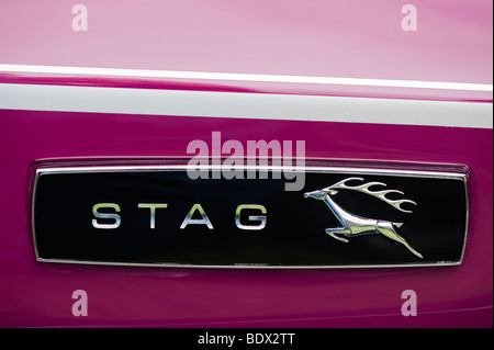 Trionfo stag logo, British Classic Car Foto Stock