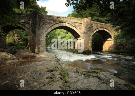 Nuovo ponte sul fiume Dart, vicino a boschi di Holne Dartmoor Devon, Inghilterra, Regno Unito Foto Stock