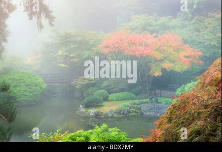 Giardini giapponesi nella nebbia con Autunno a colori. Portland, Oregon. Foto Stock