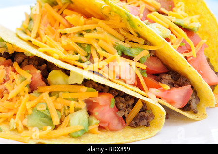 Tacos con carne di manzo, pomodoro, avocado e il formaggio cheddar Foto Stock