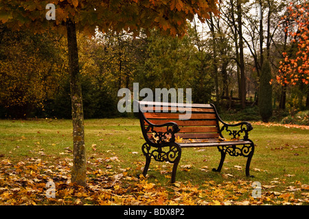 Banco in un parco in autunno Foto Stock