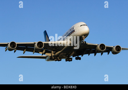 Airbus A380 azionato da Singapore Airlines sulla rotta di avvicinamento per l'atterraggio all'Aeroporto Heathrow di Londra, Regno Unito. Foto Stock