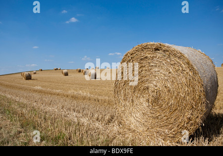 Le balle di paglia integrato in un fresco campo falciata, Wetterau, Hesse, Germania, Europa Foto Stock