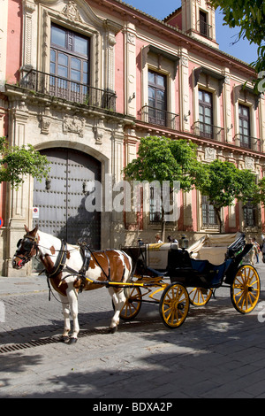 Carrozza trainata da cavalli, il Palazzo del Vescovo, Barrio Santa Cruz di Siviglia, in Andalusia, Spagna, Europa Foto Stock