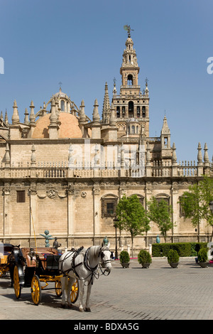 Carrozza a cavalli, cattedrale, Siviglia, Andalusia, Spagna, Europa Foto Stock