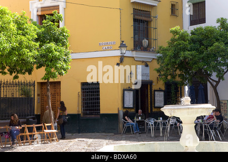 Plaza de la Alianza, fontana, Juderia district, Barrio Santa Cruz di Siviglia, in Andalusia, Spagna, Europa Foto Stock