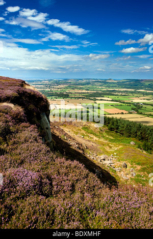 Il Stokesley pianura da Banca affrettate sul modo di Cleveland, North York Moors National Park Foto Stock