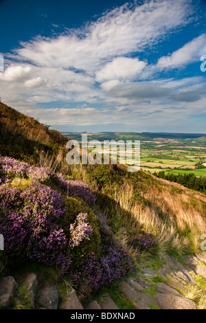 Il Stokesley pianura da Banca affrettate sul modo di Cleveland, North York Moors National Park Foto Stock