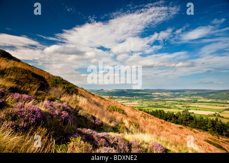 Il Stokesley pianura da Banca affrettate sul modo di Cleveland, North York Moors National Park Foto Stock